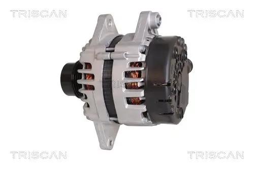 Generator 14 V TRISCAN 8310 43038 Bild Generator 14 V TRISCAN 8310 43038