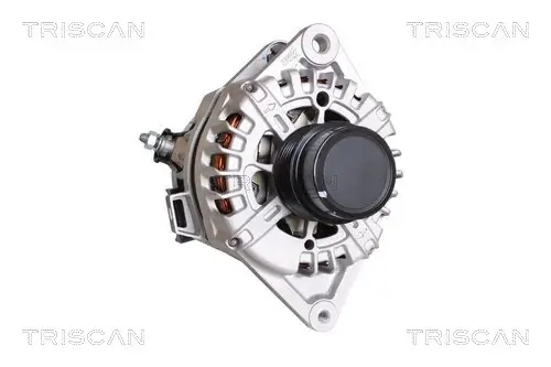 Generator 14 V TRISCAN 8310 43038 Bild Generator 14 V TRISCAN 8310 43038