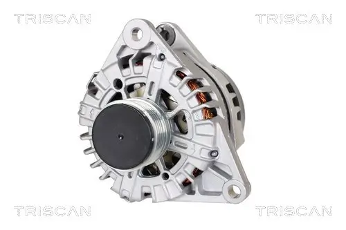 Generator 14 V TRISCAN 8310 43040