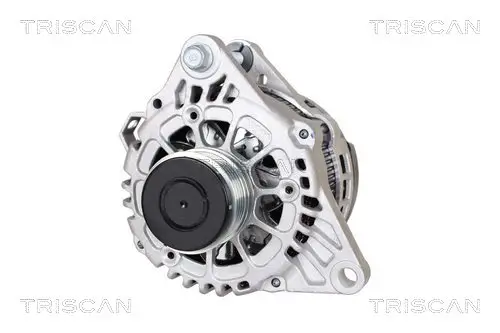 Generator 14 V TRISCAN 8310 43041