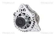 Generator 14 V TRISCAN 8310 43041
