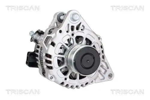 Generator 14 V TRISCAN 8310 43041 Bild Generator 14 V TRISCAN 8310 43041