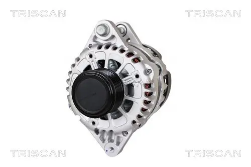 Generator 14 V TRISCAN 8310 43042