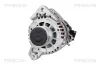 Generator 14 V TRISCAN 8310 43043