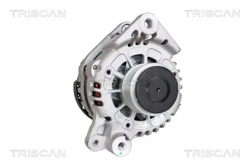 Generator 14 V TRISCAN 8310 43043 Bild Generator 14 V TRISCAN 8310 43043