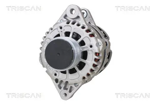 Generator 14 V TRISCAN 8310 43045