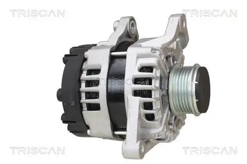 Generator 14 V TRISCAN 8310 43046 Bild Generator 14 V TRISCAN 8310 43046
