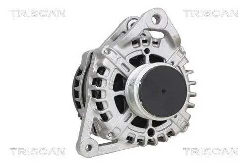 Generator 14 V TRISCAN 8310 43046 Bild Generator 14 V TRISCAN 8310 43046