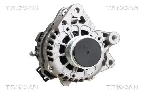 Generator 14 V TRISCAN 8310 43047 Bild Generator 14 V TRISCAN 8310 43047