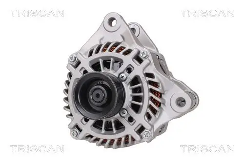 Generator 14 V TRISCAN 8310 50001