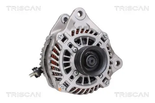 Generator 14 V TRISCAN 8310 50001 Bild Generator 14 V TRISCAN 8310 50001