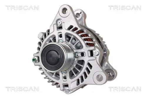 Generator 14 V TRISCAN 8310 50002