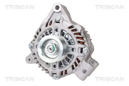 Generator 14 V TRISCAN 8310 68003