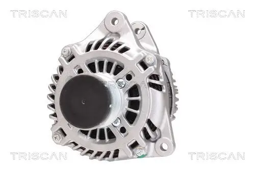 Generator 14 V TRISCAN 8310 68004