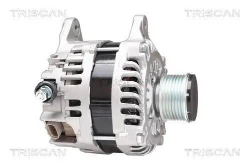 Generator 14 V TRISCAN 8310 68004 Bild Generator 14 V TRISCAN 8310 68004