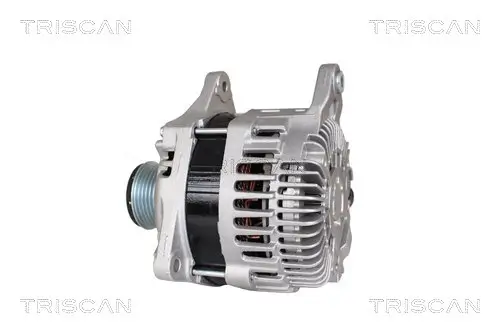 Generator 14 V TRISCAN 8310 68005 Bild Generator 14 V TRISCAN 8310 68005