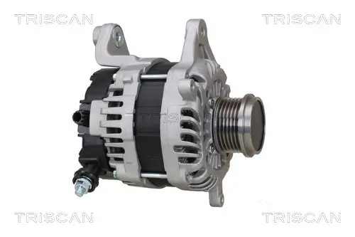 Generator 14 V TRISCAN 8310 68008 Bild Generator 14 V TRISCAN 8310 68008