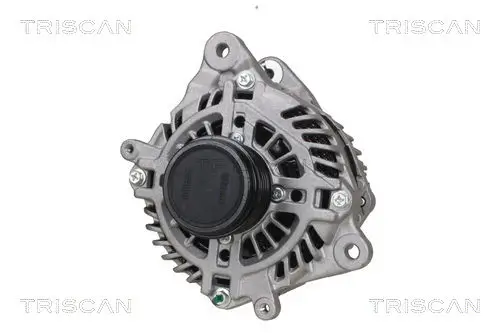 Generator 14 V TRISCAN 8310 68009
