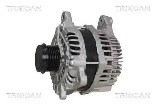 Generator 14 V TRISCAN 8310 68009 Bild Generator 14 V TRISCAN 8310 68009