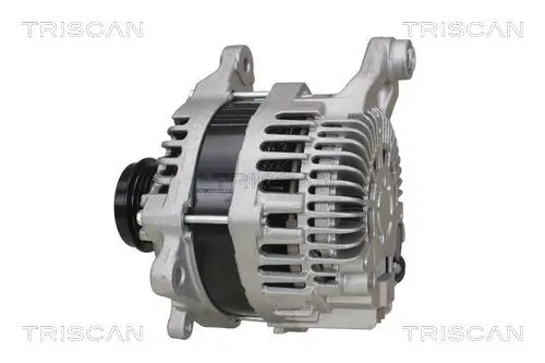 Generator 14 V TRISCAN 8310 68009 Bild Generator 14 V TRISCAN 8310 68009