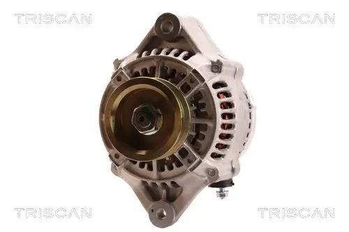 Generator 12 V TRISCAN 8310 69004