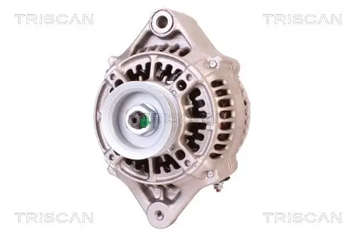 Generator 14 V TRISCAN 8310 69005