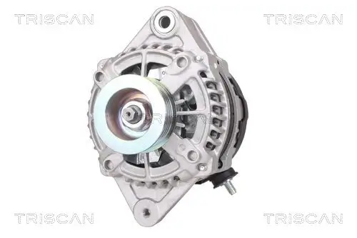 Generator 12 V TRISCAN 8310 69009 Bild Generator 12 V TRISCAN 8310 69009