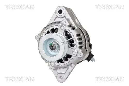 Generator 12 V TRISCAN 8310 69010