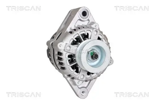 Generator 12 V TRISCAN 8310 69010 Bild Generator 12 V TRISCAN 8310 69010