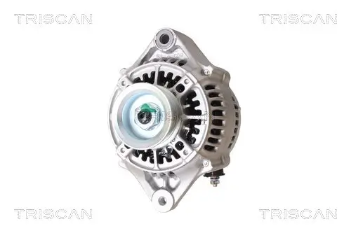Generator 14 V TRISCAN 8310 69011