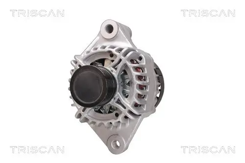 Generator 14 V TRISCAN 8310 69012