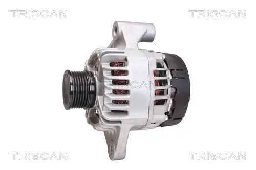 Generator 14 V TRISCAN 8310 69012 Bild Generator 14 V TRISCAN 8310 69012