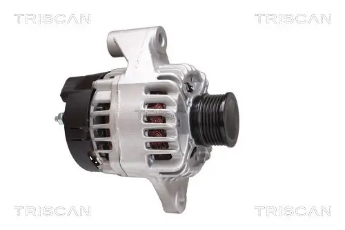 Generator 14 V TRISCAN 8310 69012 Bild Generator 14 V TRISCAN 8310 69012