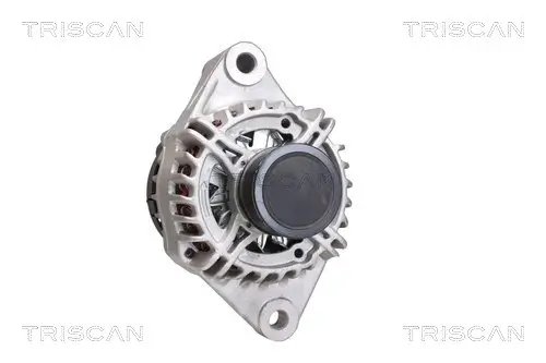 Generator 14 V TRISCAN 8310 69012 Bild Generator 14 V TRISCAN 8310 69012