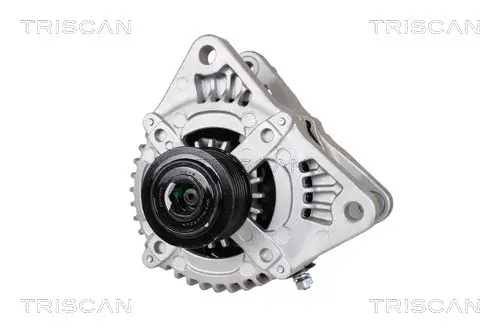 Generator 12 V TRISCAN 8310 69013