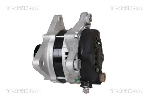 Generator 12 V TRISCAN 8310 69013 Bild Generator 12 V TRISCAN 8310 69013