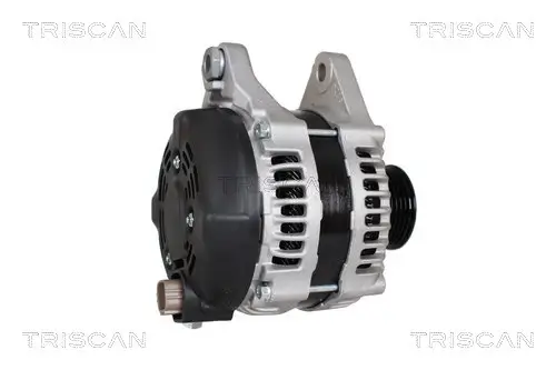 Generator 12 V TRISCAN 8310 69013 Bild Generator 12 V TRISCAN 8310 69013