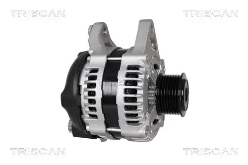 Generator 12 V TRISCAN 8310 69013 Bild Generator 12 V TRISCAN 8310 69013