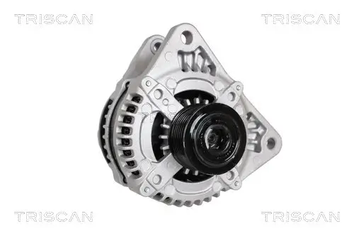 Generator 12 V TRISCAN 8310 69013 Bild Generator 12 V TRISCAN 8310 69013