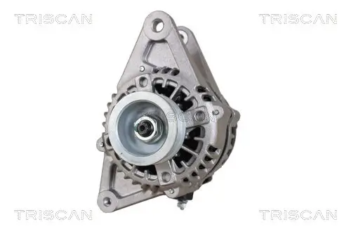 Generator 14 V TRISCAN 8310 69014