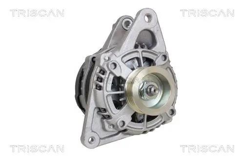 Generator 14 V TRISCAN 8310 69017 Bild Generator 14 V TRISCAN 8310 69017