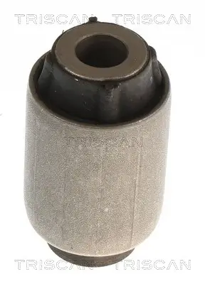 Lagerung, Lenker Hinterachse innen unten TRISCAN 8500 108008