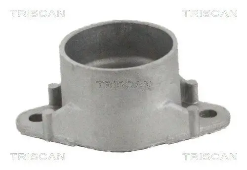 Federbeinstützlager Hinterachse TRISCAN 8500 10946