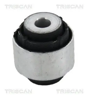 Lagerung, Lenker TRISCAN 8500 118000