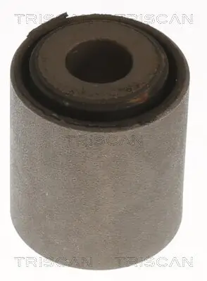 Lagerung, Lenker Hinterachse außen innen unten TRISCAN 8500 118029