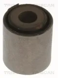 Lagerung, Lenker Hinterachse außen innen unten TRISCAN 8500 118029