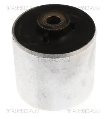 Lagerung, Lenker vorne links vorne rechts TRISCAN 8500 118049