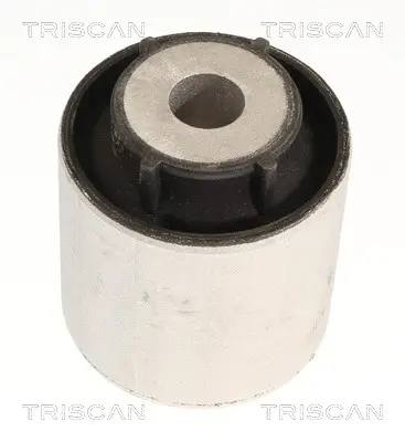 Lagerung, Lenker Vorderachse beidseitig TRISCAN 8500 118058