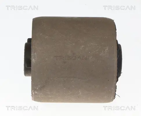 Lagerung, Lenker Vorderachse unten TRISCAN 8500 118060