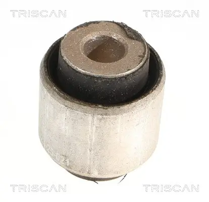 Lagerung, Lenker Hinterachse unten TRISCAN 8500 118061